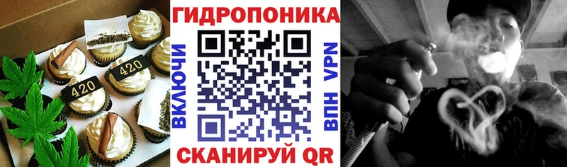 сколько стоит  Пудож  Еда ТГК конопля 