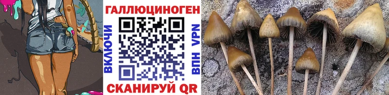 хочу   Пудож  Галлюциногенные грибы мицелий 